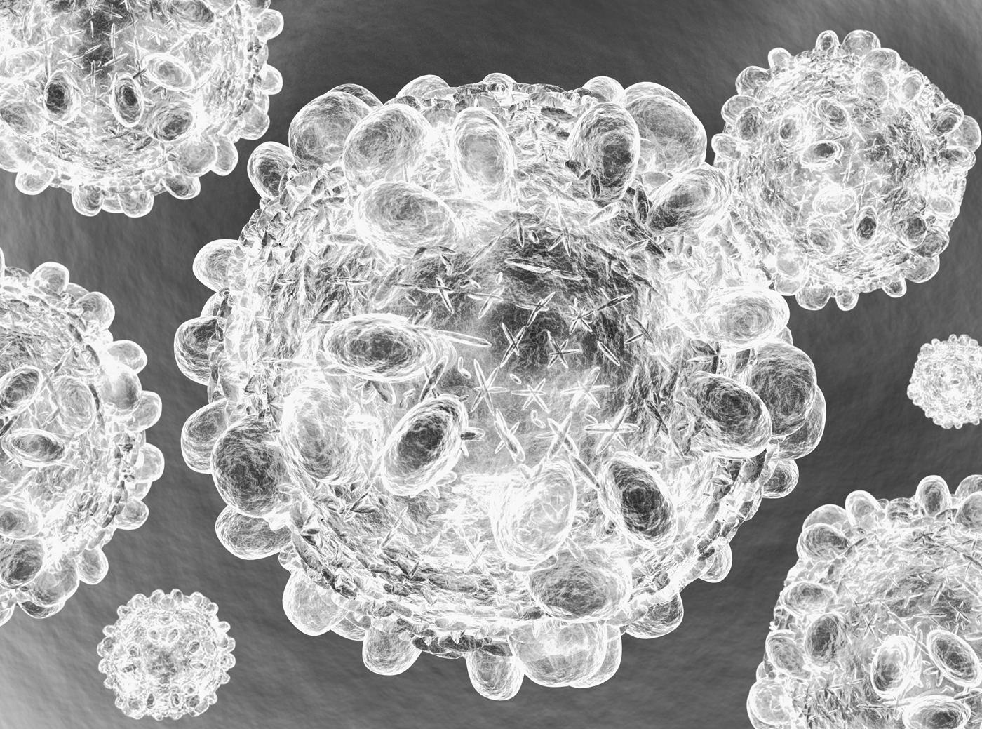 BeNHSU Belgian Network on Hepatitis in Substance Users